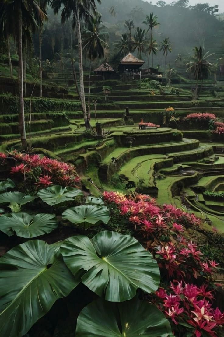 Bali
